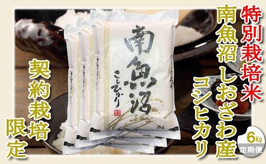 【令和7年産】【定期配送６Kg×１２ヶ月】特別栽培 生産者限定  南魚沼しおざわ産コシヒカリ