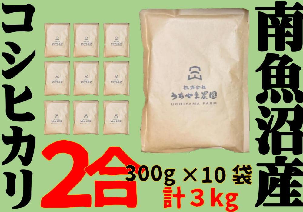 【2合×10袋】南魚沼産コシヒカリ　個包装だからキャンプやシェアに最適！