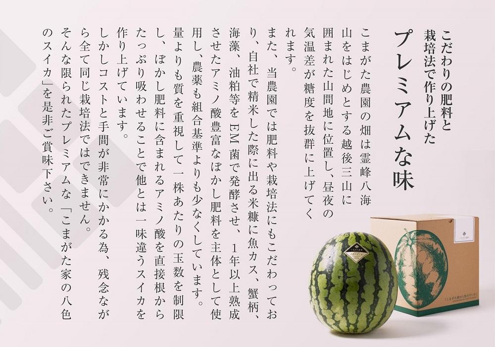 【2026年7月下旬〜8月上旬順次発送予定】高級南魚沼八色産スイカ「こまがた家の八色のスイカ」プレミアム大玉 1玉【西瓜 スイカ すいか 大玉 季節限定 果物 フルーツ ギフト 名産地 産地直送 シャキシャキ 厳選 デザート 新潟県】
