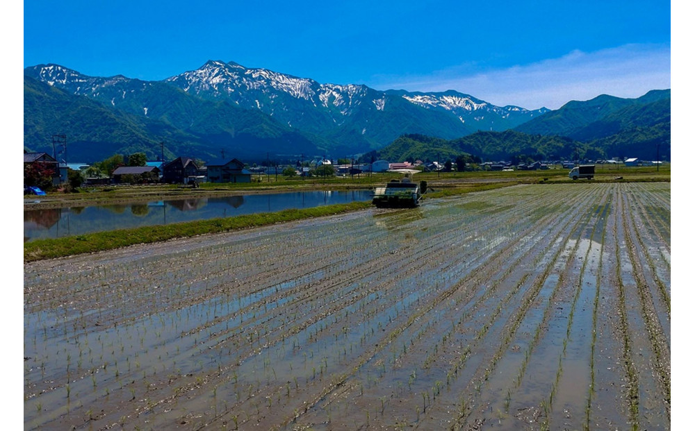 縲蝉サ、蜥7蟷エ逕」縲大漉鬲壽イシ逕」縲蝪ゥ豐「繧ウ繧キ繝偵き繝ェ縲後□縺吶¢邀ウ縲咲イセ邀ウ5kg