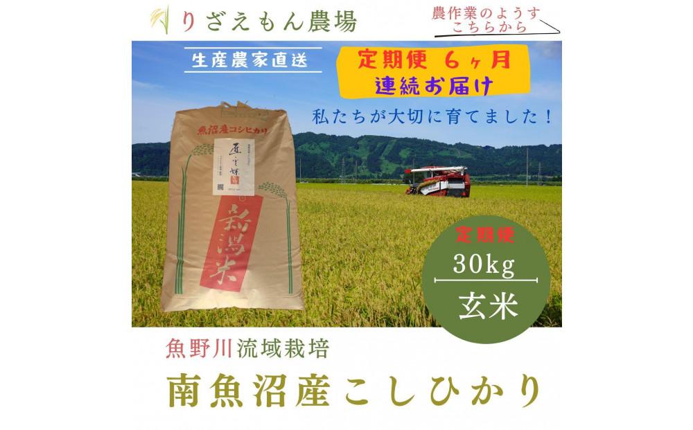 《新米予約受付》【定期便６回×玄米３０kg≪合計１８０kg≫】令和６年産　南魚沼産コシヒカリ　玄米 ３０kg　＼生産農家直送／