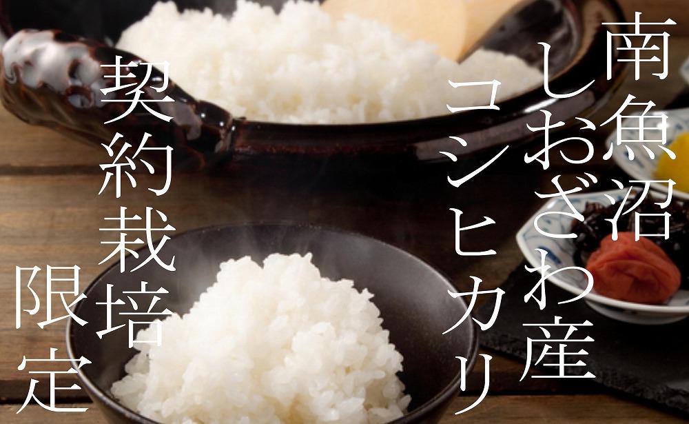 【令和7年産】【定期便２Kg×3ヶ月】契約栽培限定 南魚沼しおざわ産コシヒカリ
