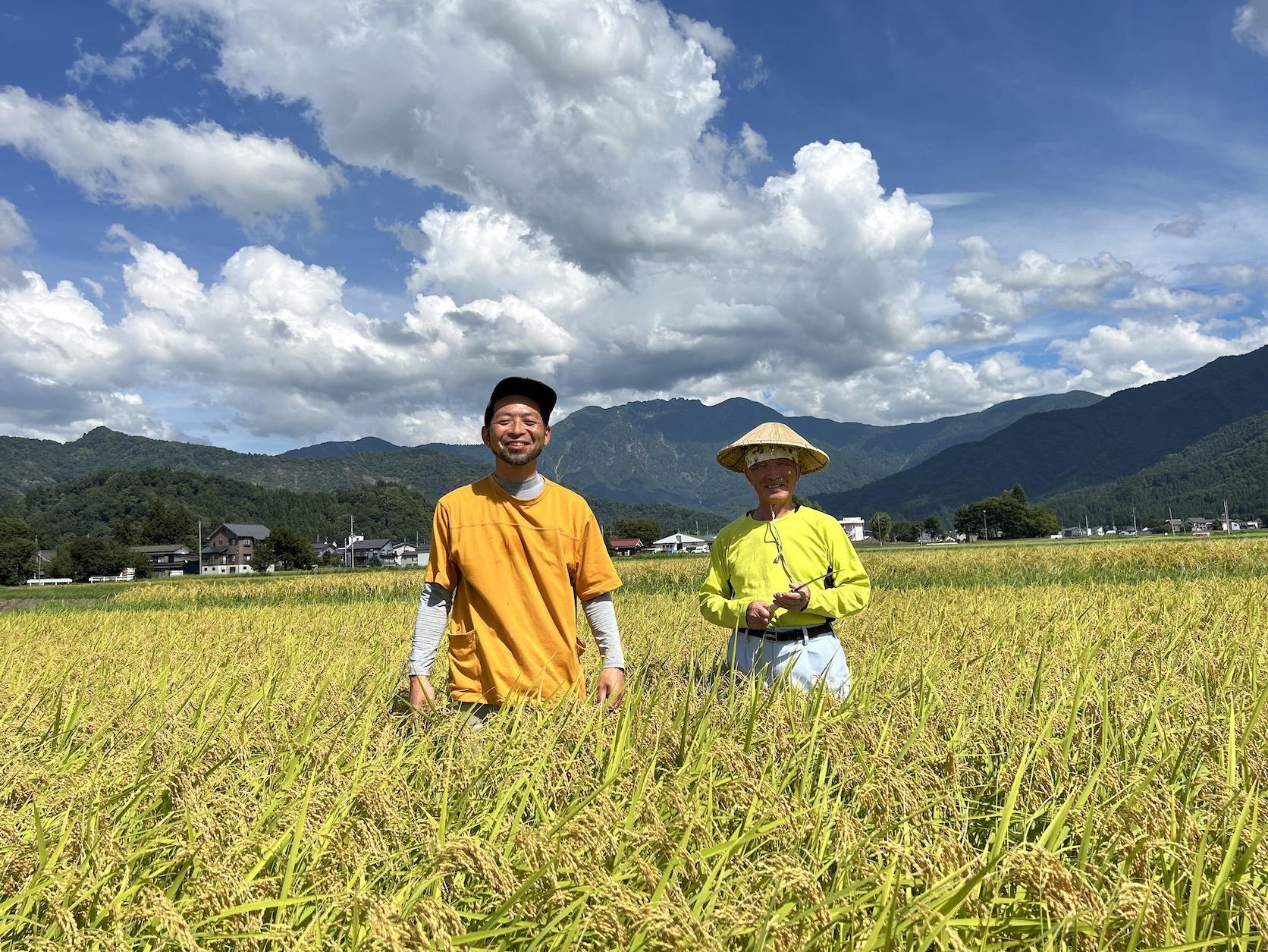 [令和6年産]　JAS認定　有機栽培米　農薬・化学肥料不使用の米　南魚沼産こしひかり5kg　八海山の里で実りました。