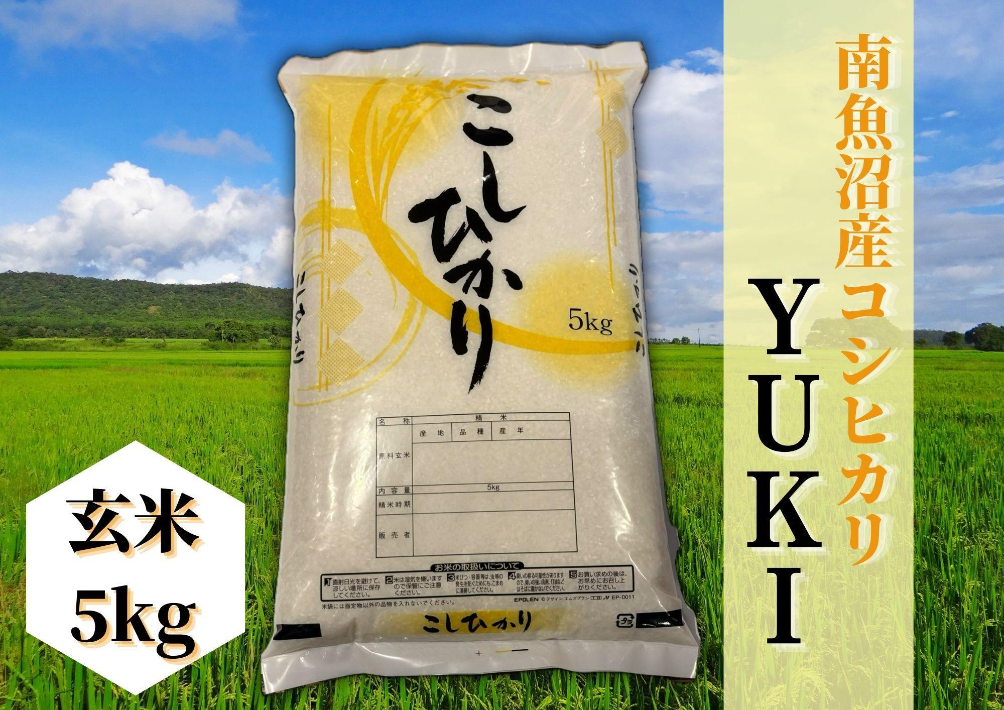 【令和8年産 新米】南魚沼産コシヒカリ「YUKI」(玄米5kg)×全6回【銘柄米 ブランド米 玄米 こしひかり コシヒカリ 魚沼産 新潟米 産地直送 お米】