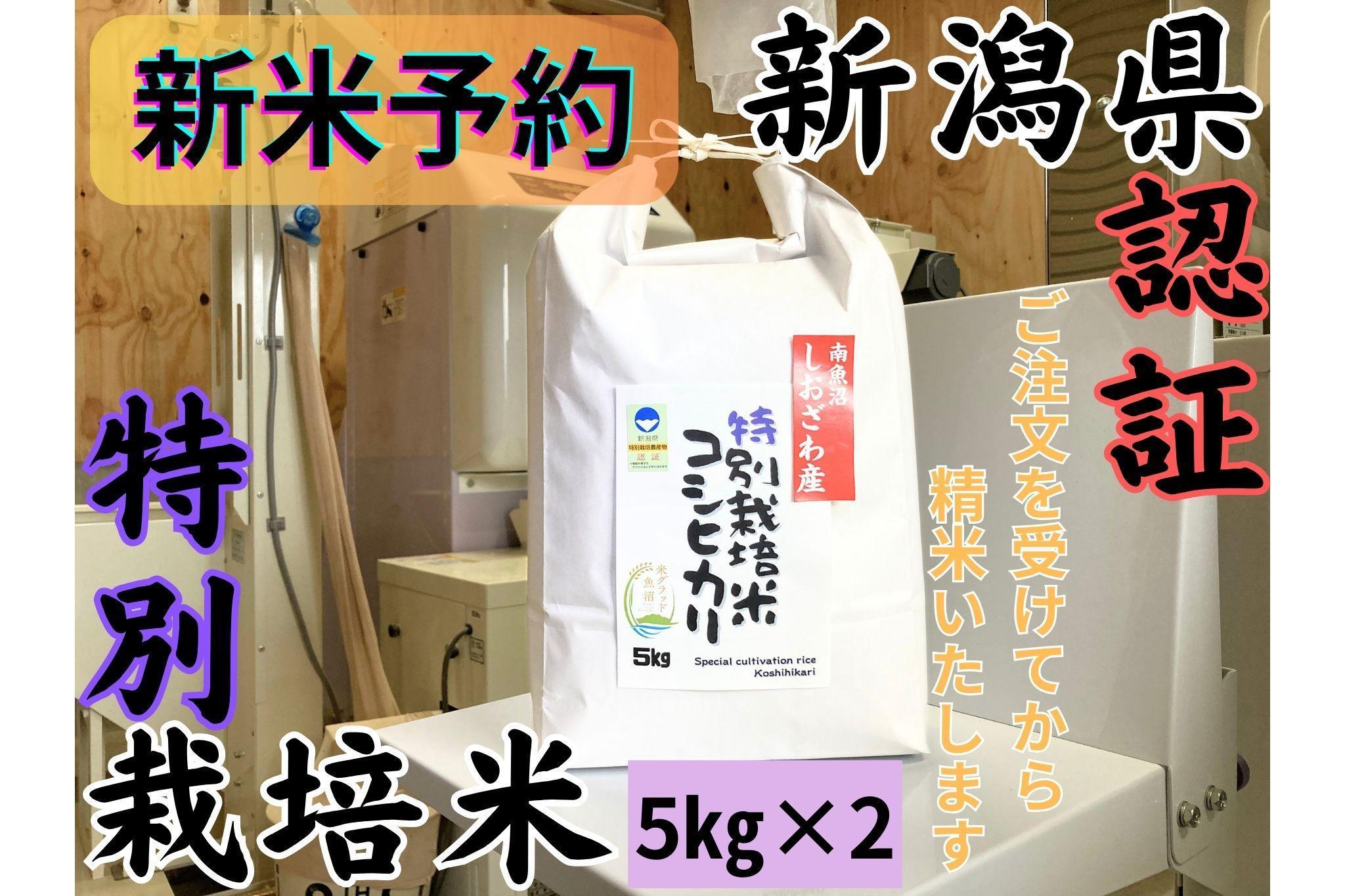 【令和7年産・新米予約】安心安全の新潟県南魚沼産特別栽培米コシヒカリ　10kg　新潟県認証