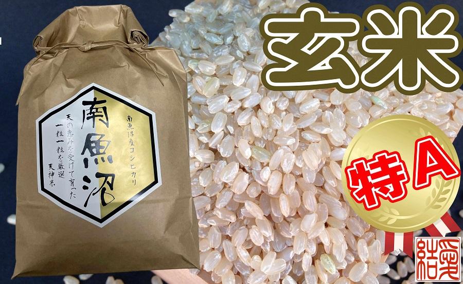 縲蝉サ、蜥7蟷エ逕」縲代仙ョ壽悄萓ソ縲醍私邀ウ 蜊鈴ュ壽イシ縺励♀縺悶o逕」繧ウ繧キ繝偵き繝ェ2Kgテ9繝カ譛医仙ョ壽悄萓ソ 驫俶氛邀ウ 繝悶Λ繝ウ繝臥アウ 邇邀ウ 縺薙@縺イ縺九j 繧ウ繧キ繝偵き繝ェ 鬲壽イシ逕」 譁ー貎溽アウ 逕」蝨ー逶エ騾 縺顔アウ 邀ウ 縺薙a 繧ウ繝。 縺秘」ッ 蠕。鬟ッ 縺斐ッ繧薙