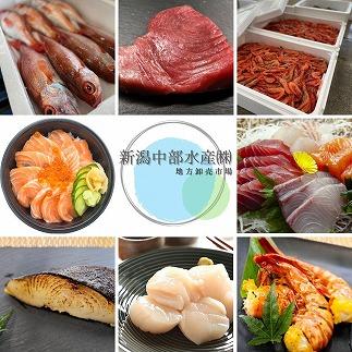 【魚市場直送】越後味噌漬　漬魚切身(銀鮭切身　100g×2切・ギンダラ切身　100g×2切・カラスカレイ切身　100g×2切)+ボイルほたて(50g×4玉)セット