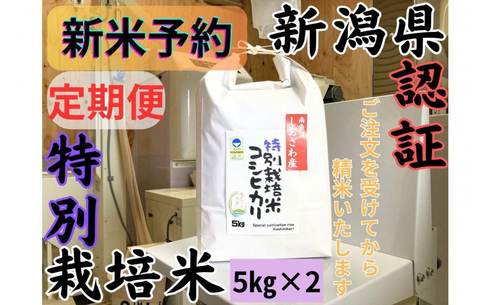 【令和7年産・新米予約・定期便】安心安全の新潟県南魚沼産特別栽培米コシヒカリ　10kg×３か月　新潟県認証