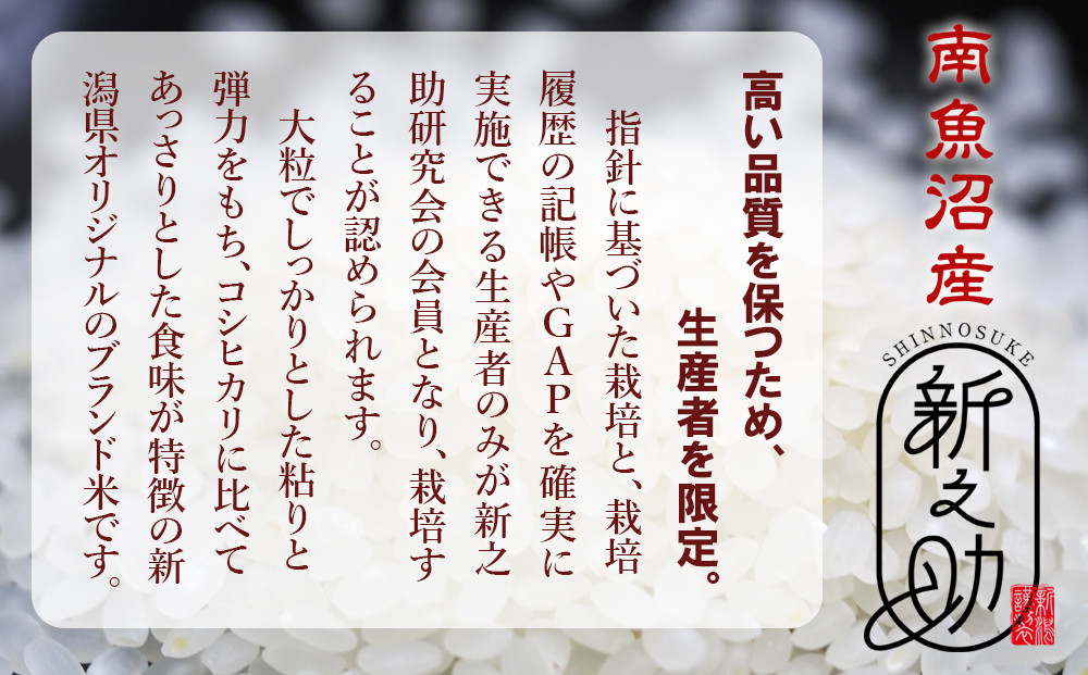 【令和7年産】南魚沼産新之助 精米 2kg×2袋 ≪精米HACCP認定工場 高品質精米 大粒 もっちり 新之助 精米 銘柄米 ブランド米 南魚沼産 新潟米 高評価 甘み 国産米 産地米 家庭米 ご飯≫