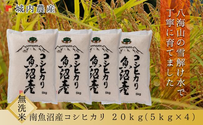 【令和７年産】【令和７年産】南魚沼産コシヒカリ 無洗米２０ｋｇ　【５割減農薬栽培米】城内農産