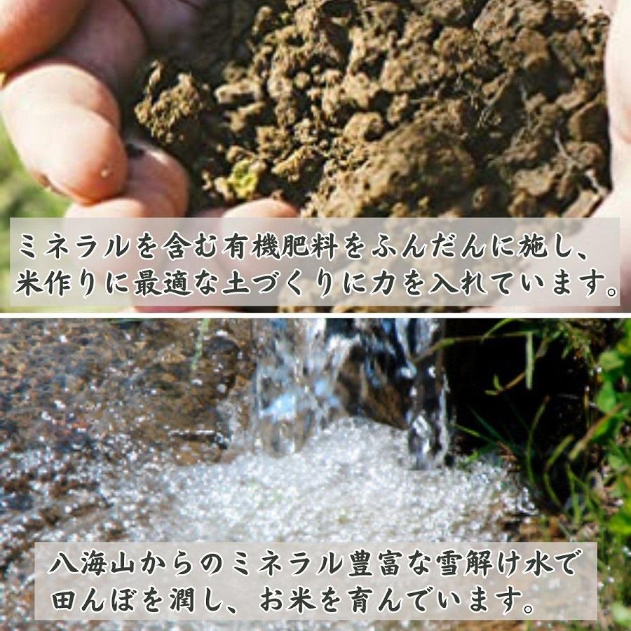 【令和6年産 】新潟県 南魚沼産 コシヒカリ お米 こしひかり 精米 白米 のし 贈り物  熨斗 贈答用 令和6年産 城内農産 特A地区米 4kg(2kg×2袋)