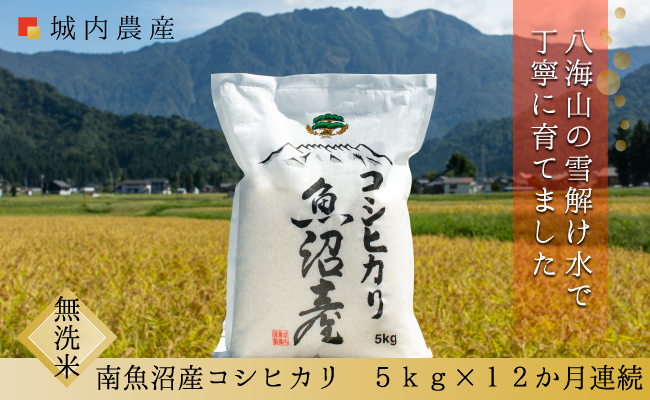 【令和７年産】【お米定期便/全１２回】南魚沼産コシヒカリ　無洗米５ｋｇ＜５割減農薬栽培米＞城内農産
