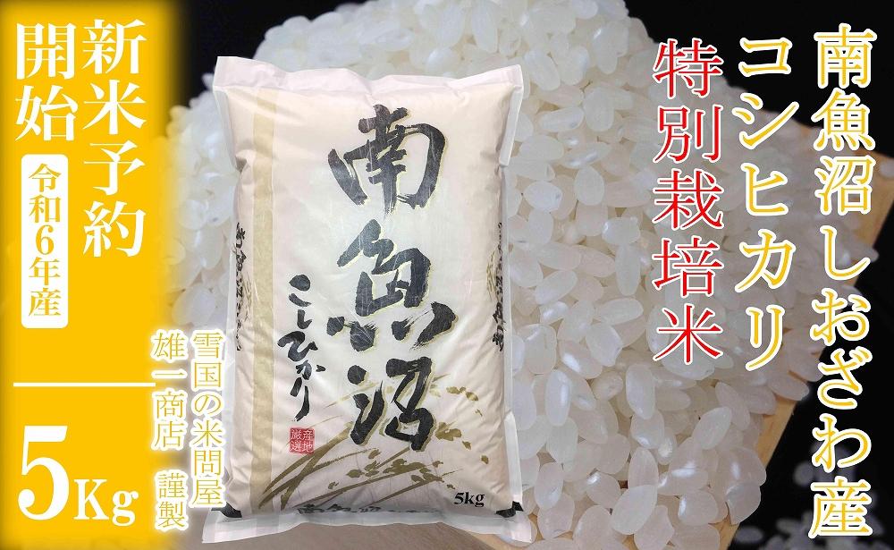 【新米予約・令和6年産】精米5Kg ※特別栽培※生産者限定 南魚沼しおざわ産コシヒカリ