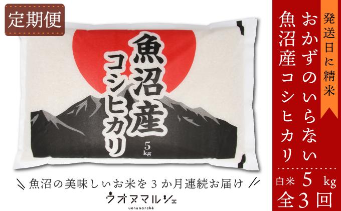 【令和7年産】【お米定期便/全３回】 おかずのいらない 魚沼産コシヒカリ　白米５ｋｇ