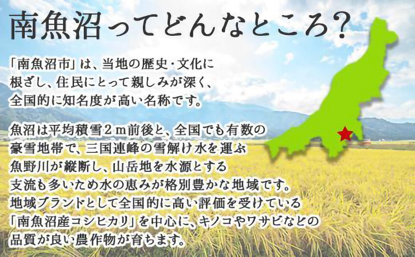 【無地のし】 新潟県 南魚沼産 厳選 国産 石坂 高級 舞茸 まいたけ 産地直送 1kg ×2箱 計2kg 贈り物 ギフト お中元 お歳暮 石坂きのこ