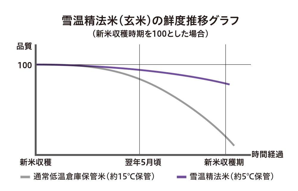 【頒布会】（2kg×2 全12回）無洗米　南魚沼産こしひかり