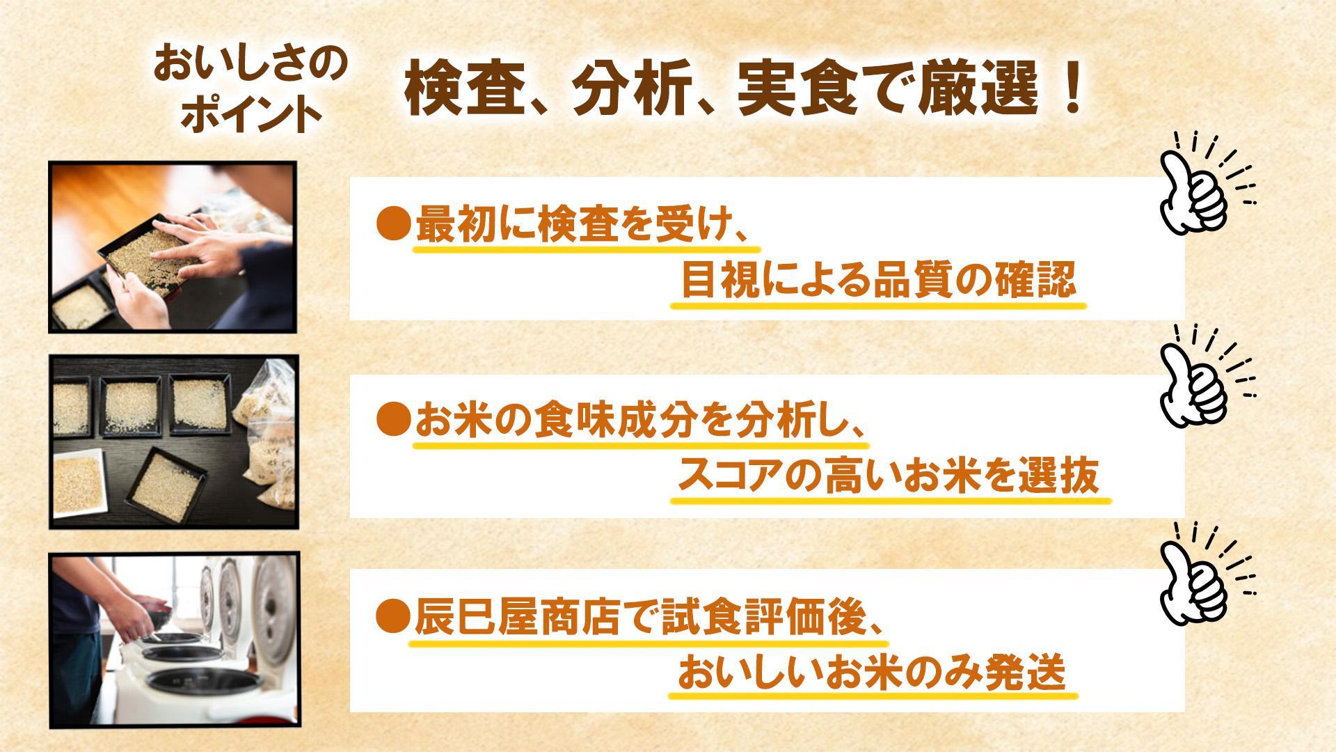 【令和6年産新米予約／令和6年11月上旬より順次発送】【A-6定期便】南魚沼産コシヒカリ5kg×6回