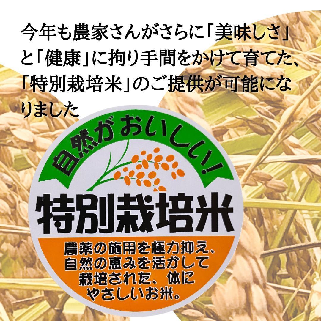 令和6年度産 新潟県南魚沼産コシヒカリ 特別栽培米 白米 6kg