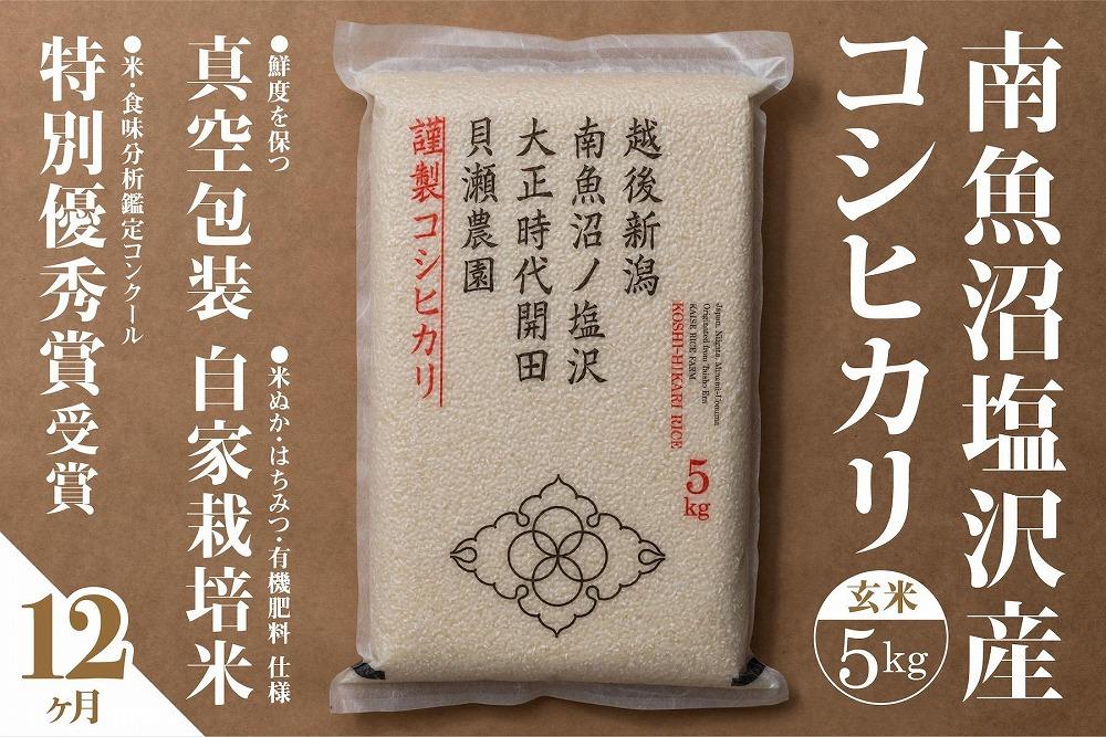 【定期便】自家栽培米　南魚沼塩沢産コシヒカリ　玄米5kg×全12回