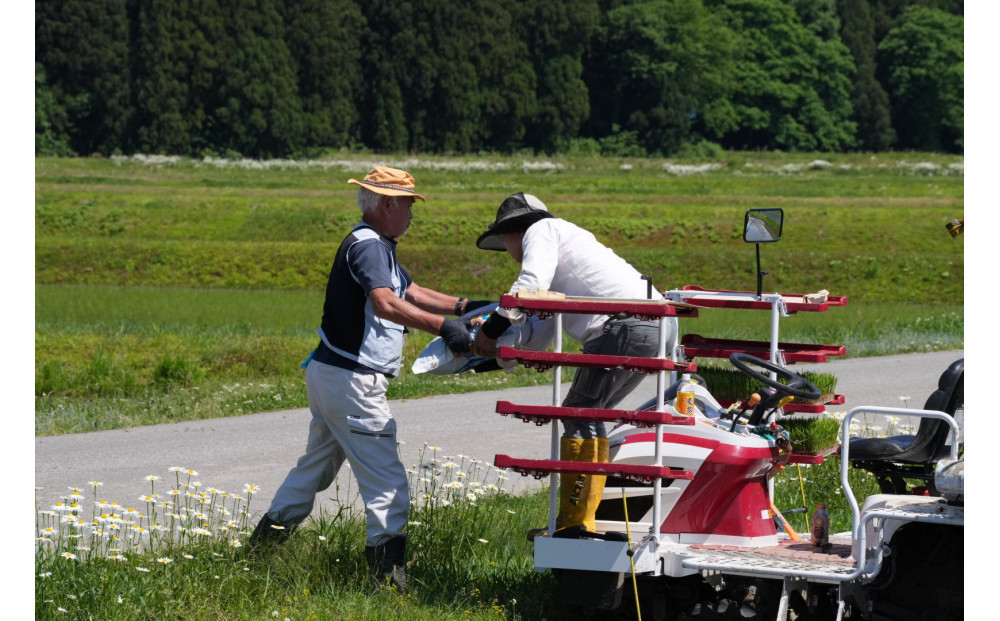 【定期便】【令和8年産新米予約】南魚沼産（しおざわ）コシヒカリ　8割減農薬米　精米2Kgｘ12回【定期便 銘柄米 ブランド米 精米 こしひかり コシヒカリ 魚沼産 新潟米】【2026年9月下旬より1ヶ月以内に順次発送予定】