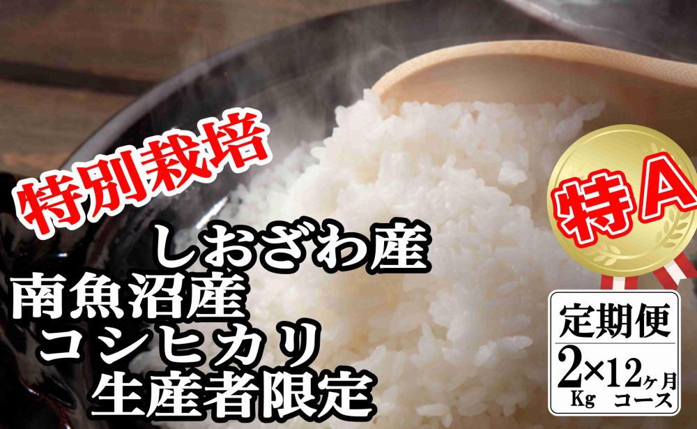 【令和7年産】【定期便：2Kg×12ヶ月】特別栽培 生産者限定 南魚沼しおざわ産コシヒカリ