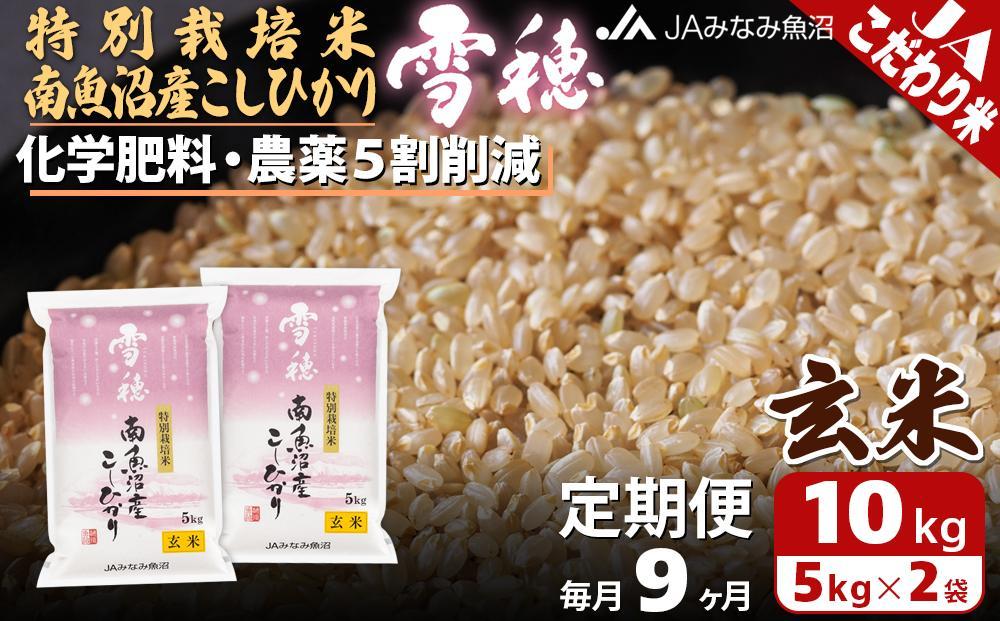 【JAみなみ魚沼定期便】特別栽培米南魚沼産こしひかり「雪穂」玄米（10kg×全9回）農薬5割削減 調整玄米 精選玄米 特A獲得日本一産地 高品質精米 もっちり甘い 南魚沼産コシヒカリ