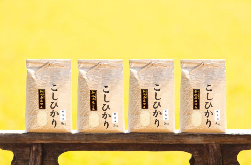 【令和5年産】南魚沼産コシヒカリ（無洗米20kg×全6回）新潟県 特A地区の美味しいお米。