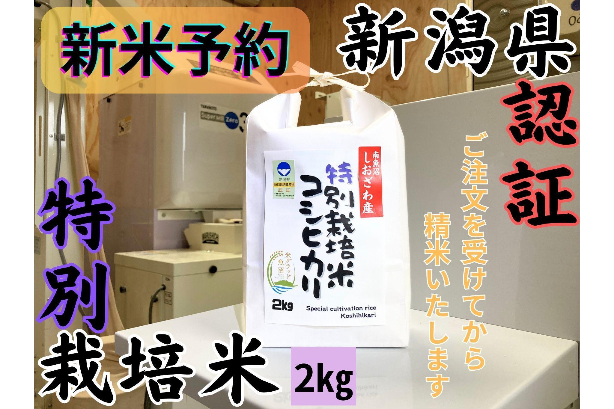 【令和8年産・新米予約】安心安全の新潟県南魚沼産特別栽培米コシヒカリ　2kg　新潟県認証【銘柄米 ブランド米 精米 こしひかり コシヒカリ 魚沼産 新潟米】【2026年10月上旬より1ヶ月以内に順次発送予定】