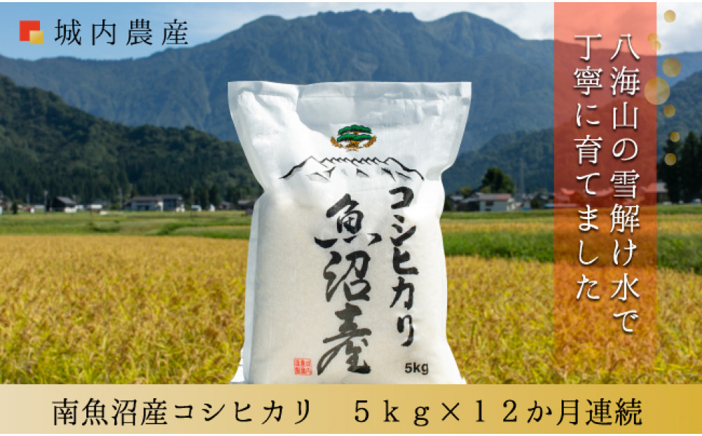 【令和７年産 】【お米定期便/全１２回】南魚沼産コシヒカリ　白米５ｋｇ＜５割減農薬栽培米＞城内農産