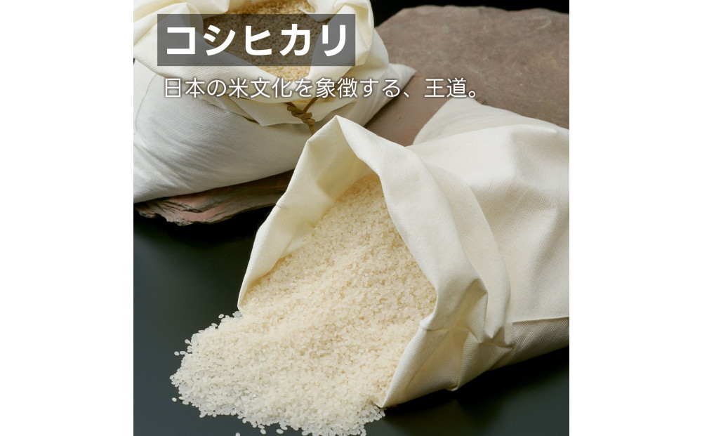 南魚沼 塩沢産 コシヒカリ パックご飯 150g 24パック