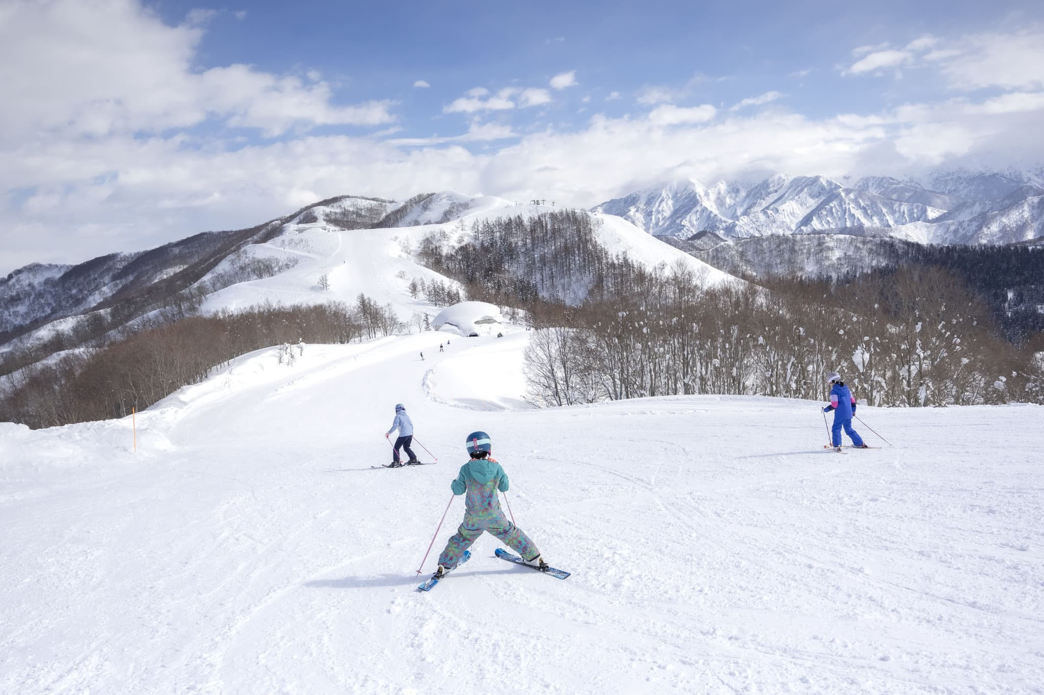 舞子スノーリゾート 25ー26シーズンリフト1日引換券(大人1名様分)