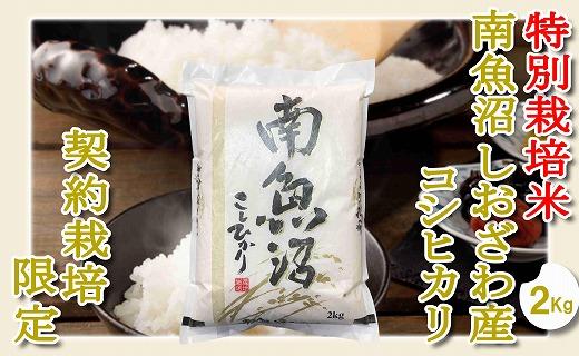 【令和7年産】【精米２Kg】特別栽培 生産者限定  南魚沼しおざわ産コシヒカリ