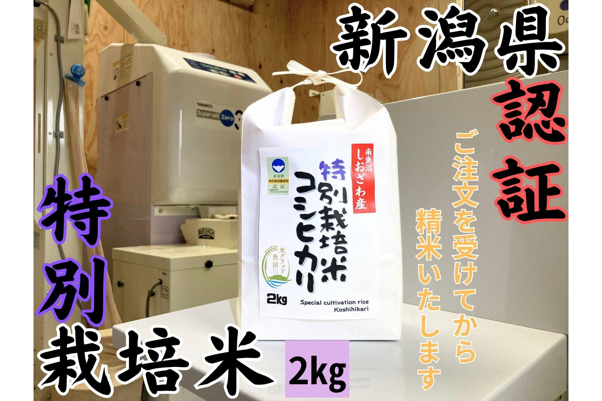 新潟県南魚沼　しおざわ産特別栽培米コシヒカリ　2kg　新米