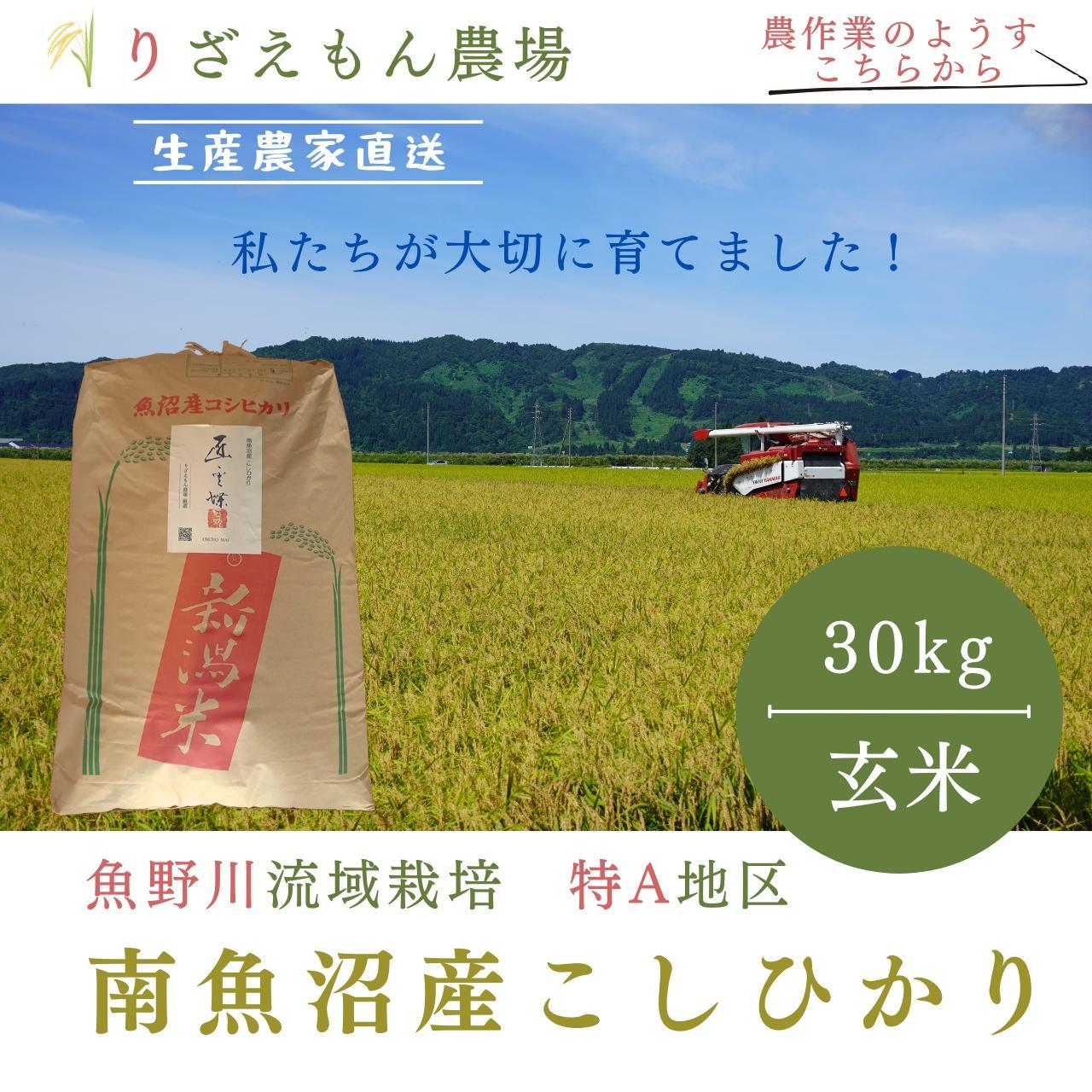 《新米予約受付》令和６年産　南魚沼産　コシヒカリ　こしひかり　魚野川流域　特A地区　匠 雲蝶(たくみ　うんちょう）玄米30kg　＼生産農家直送／