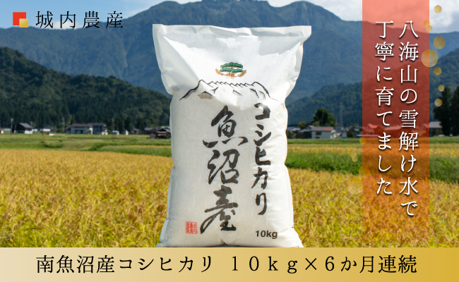 【令和７年産】【お米定期便/全６回】南魚沼産コシヒカリ 白米１０ｋｇ＜５割減農薬栽培米＞城内農産【定期便 銘柄米 ブランド米 精米 こしひかり コシヒカリ 魚沼産 新潟米 産地直送 お米 米 こめ コメ ご飯 御飯 ごはん】