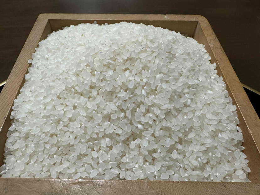 ã什å7幎ç£ãåéæ²Œç£ã³ã·ãã«ãª çœç±³10kg