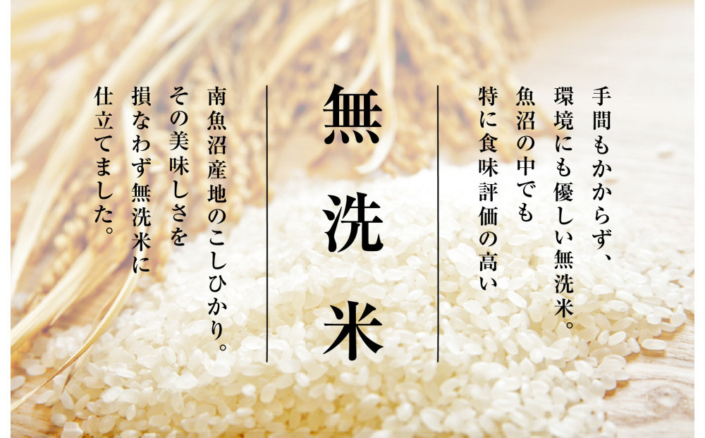 雪温精法　南魚沼産こしひかり4kg　無洗米　契約栽培  雪蔵貯蔵米【銘柄米 ブランド米 無洗米 こしひかり コシヒカリ魚沼産 新潟米 新潟県産 産地直送 ご飯 御飯 ごはん お米 米 こめ コメ】