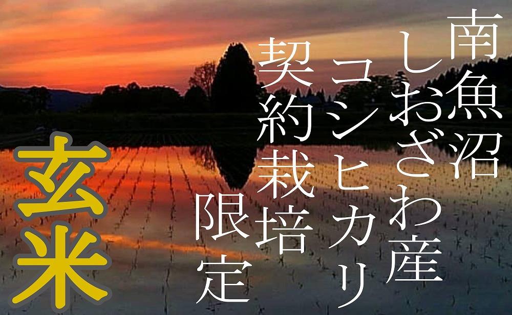 ã什å7幎ç£ããå®æäŸ¿5KgÃ6ã¶æãâçç±³â çç£è
éå® åéæ²Œããããç£ã³ã·ãã«ãªãå®æäŸ¿ éæç±³ ãã©ã³ãç±³ çç±³ ããã²ãã ã³ã·ãã«ãª éæ²Œç£ æ°æœç±³ ç£å°çŽé ãç±³ ç±³ ãã ã³ã¡ ã飯 埡飯 ãã¯ãã