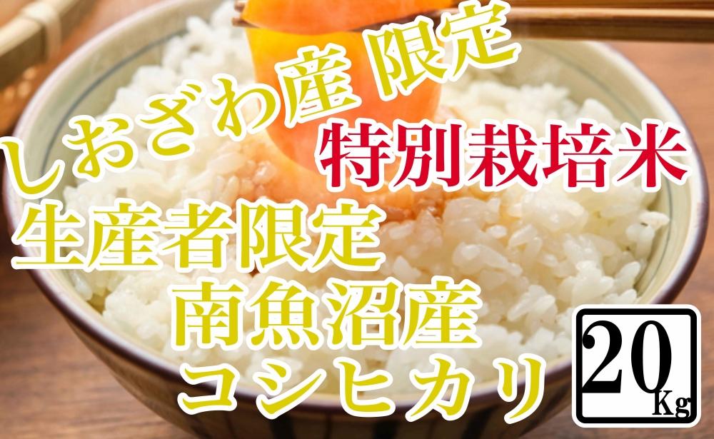 【令和7年産】【精米20kg】特別栽培 しおざわ産限定 生産者限定 南魚沼産コシヒカリ