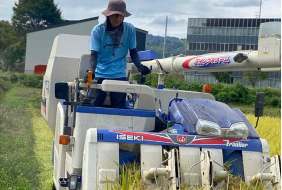 什å7幎ç£ãåéæ²Œå¡©æ²¢ç£ã³ã·ãã«ãªãçœç±³ïŒkg