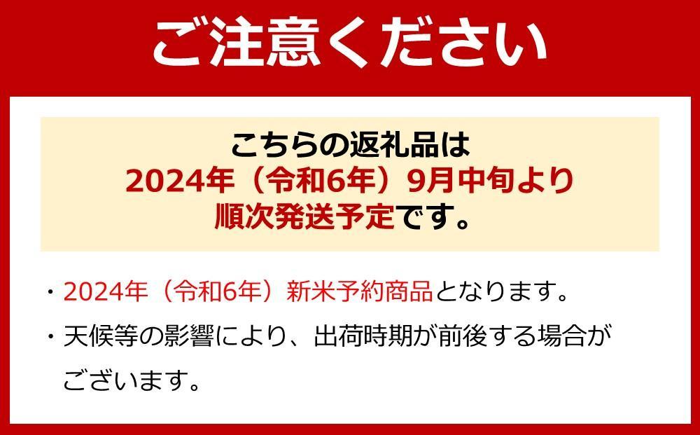 【令和6年産 新米】極上の南魚沼産こしひかり大沢米5kg(無洗米)【米 お米 こしひかり 南魚沼 米 玄米 白米 無洗米 こめ 新潟 米】