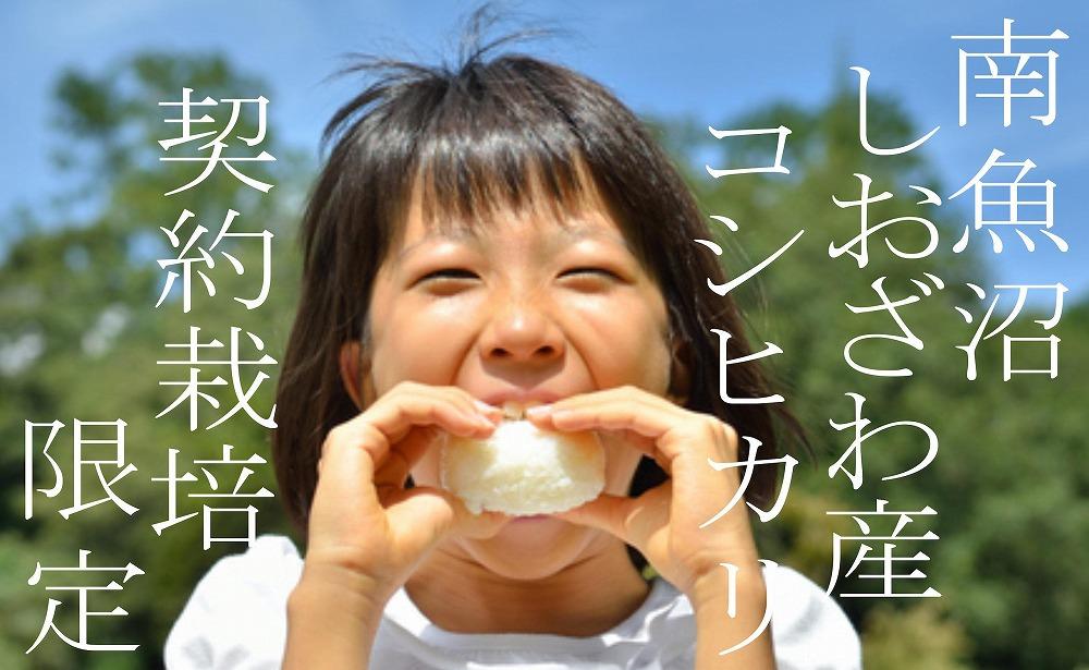 【令和7年産】【定期便２Kg×3ヶ月】契約栽培限定 南魚沼しおざわ産コシヒカリ