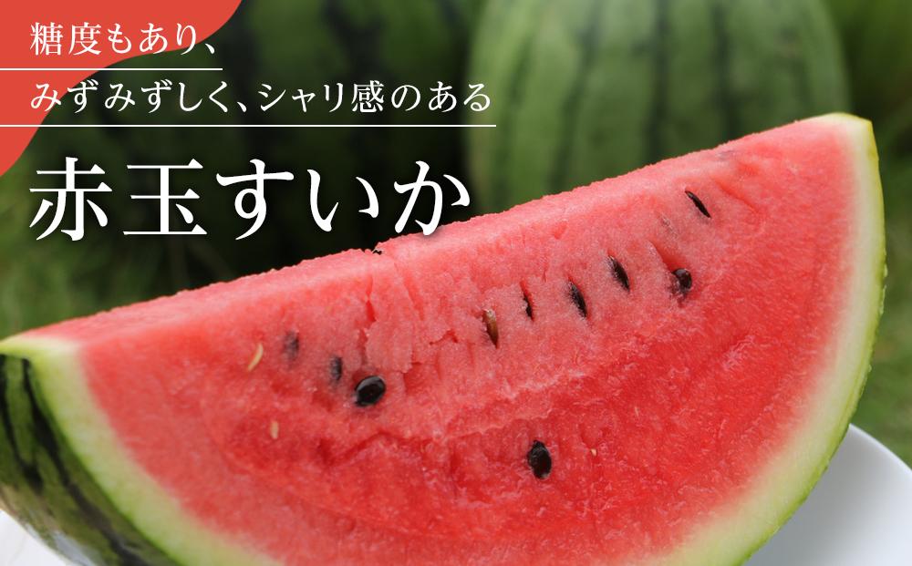 【夏季限定】飯塚農場産の八色原すいか　大玉2玉（赤1玉・黄1玉）セット