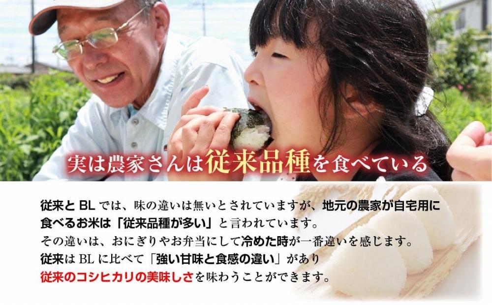 ｜定期便｜ 新潟県 南魚沼産 コシヒカリ 【従来品種】塩沢地区 お米 10kg × 6回 毎月発送 精米済み（お米の美味しい炊き方ガイド付き）