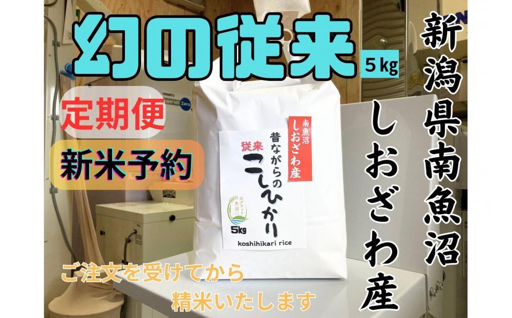 【令和8年産・新米予約・定期便】地元の人に愛され続けている昔ながらの従来コシヒカリ 5kg×６か月　新潟県南魚沼産【定期便 銘柄米 ブランド米 精米 こしひかり】【2026年10月上旬より1ヶ月以内に順次発送予定】