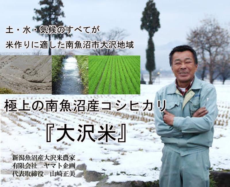 【令和6年産 新米】極上の南魚沼産こしひかり大沢米5kg×2(白米)【米 お米 こしひかり 南魚沼 米 玄米 白米 無洗米 こめ 新潟 米】