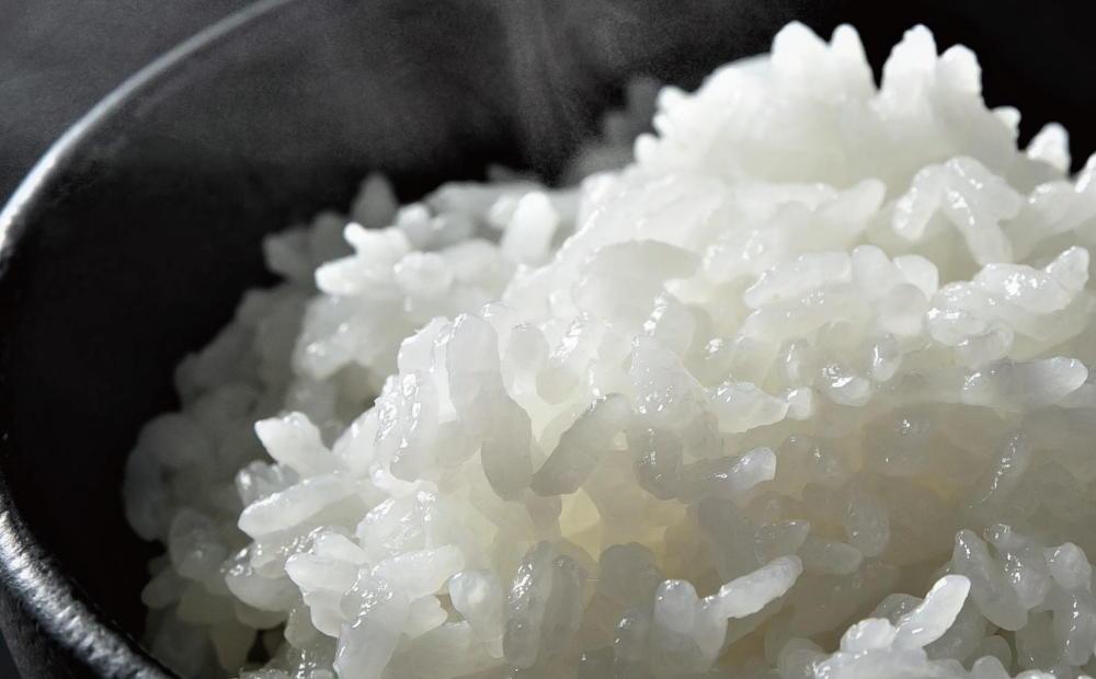 【令和7年産】プロフェッショナル出演 関智晴がつくる最高級 無農薬栽培米5kg  南魚沼産コシヒカリ