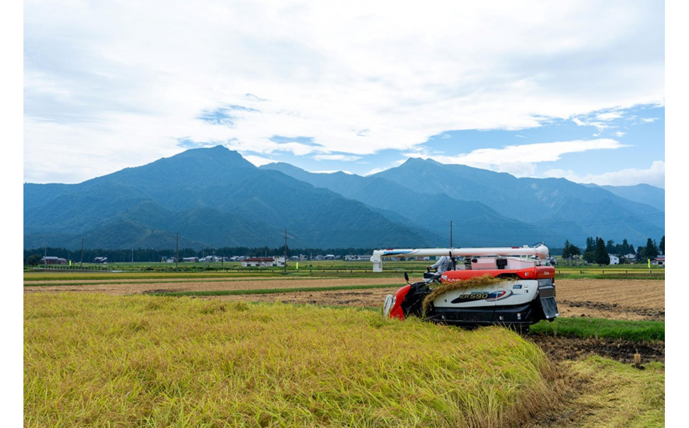 縲蝉サ、蜥7蟷エ逕」縲大漉鬲壽イシ逕」縲蝪ゥ豐「繧ウ繧キ繝偵き繝ェ縲後□縺吶¢邀ウ縲咲イセ邀ウ5kg