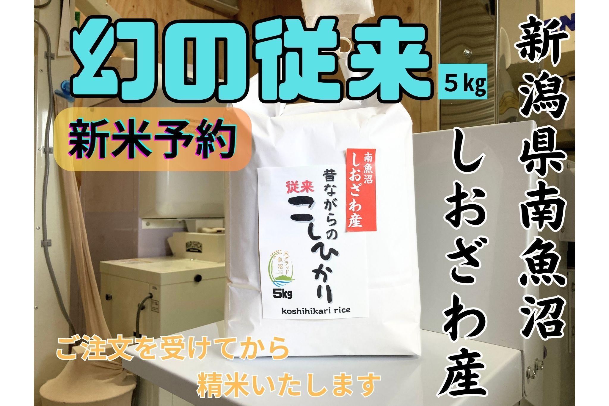 【令和7年産・新米予約】地元の人に愛され続けている昔ながらの従来コシヒカリ 5kg　新潟県南魚沼産