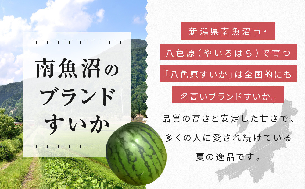 先行予約【高級】八色原すいか小玉２玉【2026年7月中旬発送】【お届け日時指定不可】
